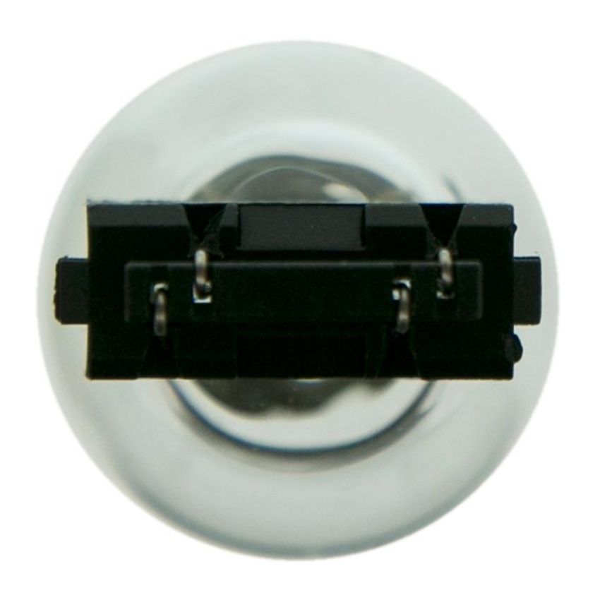 WAGNER LIGHTING 3047 Standard Multi-Purpose Light Bulb Box of 10