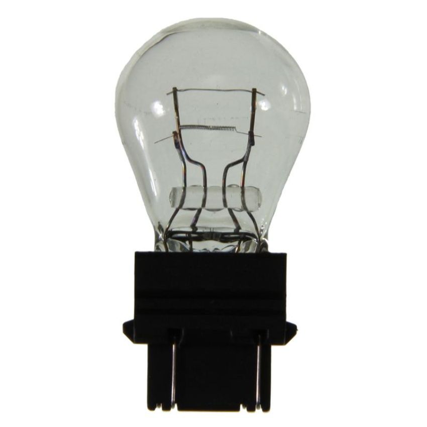 WAGNER LIGHTING 3047LL Long Life Multi-Purpose Light Bulb Box of 10
