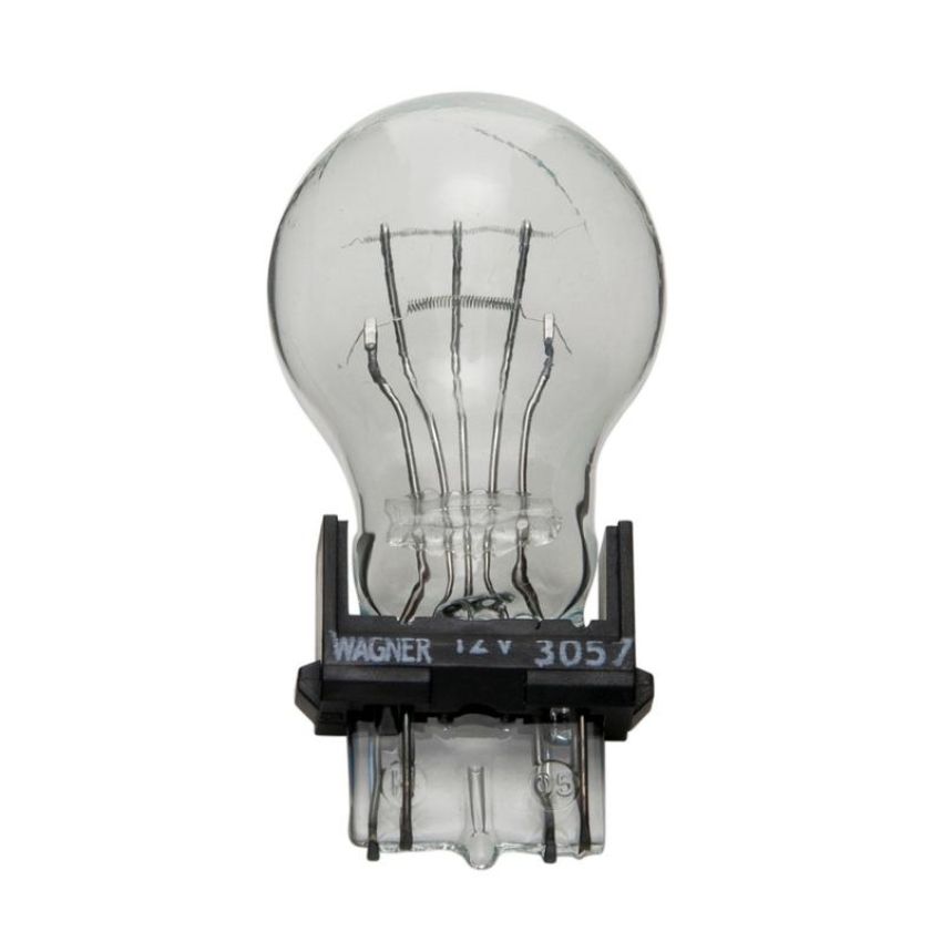 WAGNER LIGHTING 3057 Standard Multi-Purpose Light Bulb Box of 10