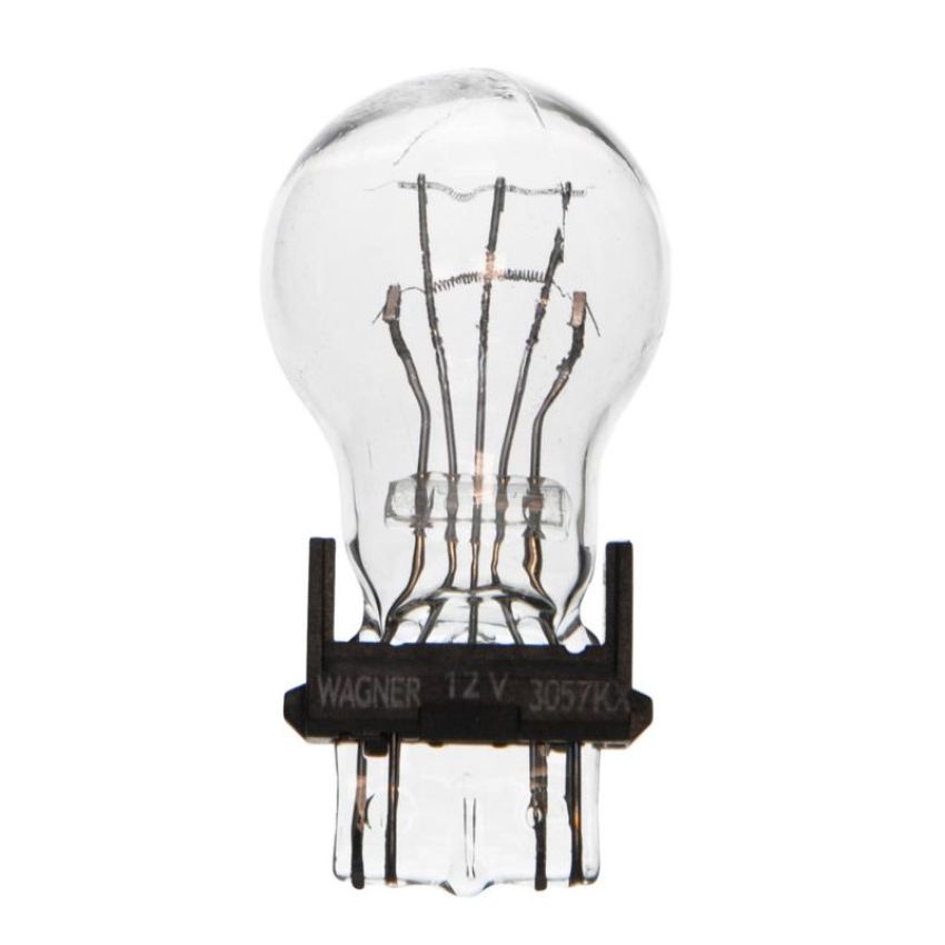 WAGNER LIGHTING 3057LL Long Life Multi-Purpose Light Bulb Box of 10