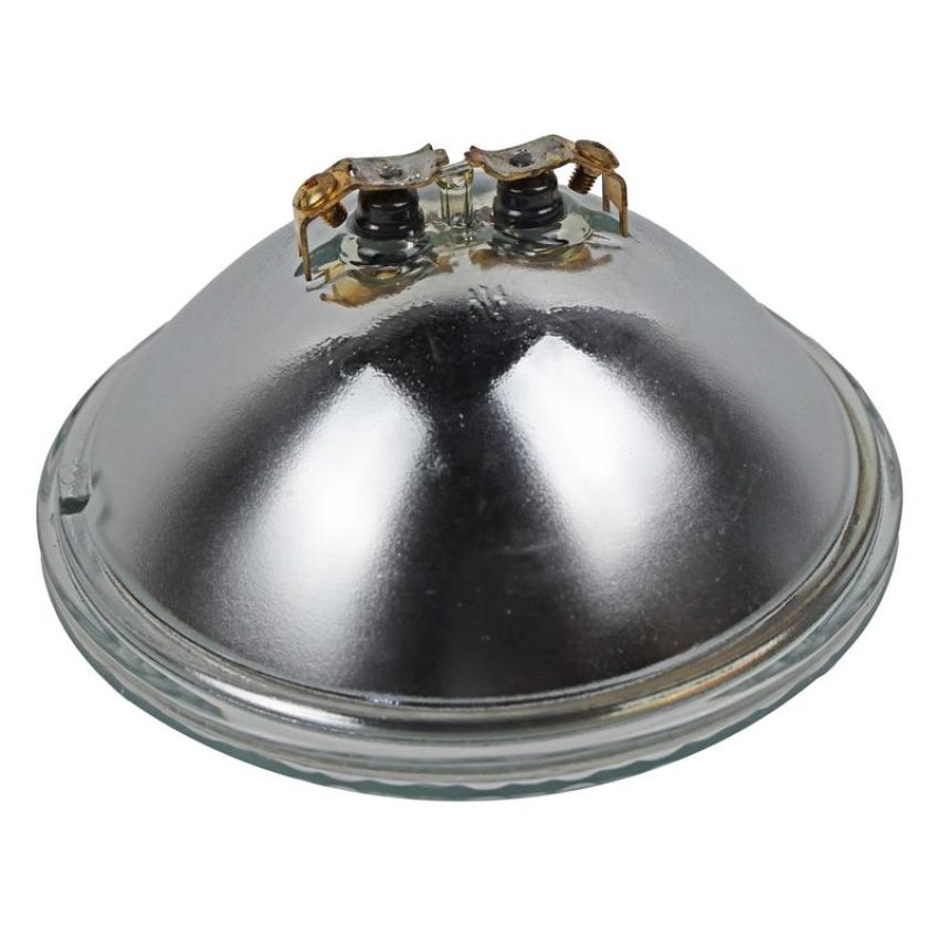 WAGNER LIGHTING 4419 Standard Multi-Purpose Light Bulb Box of 1