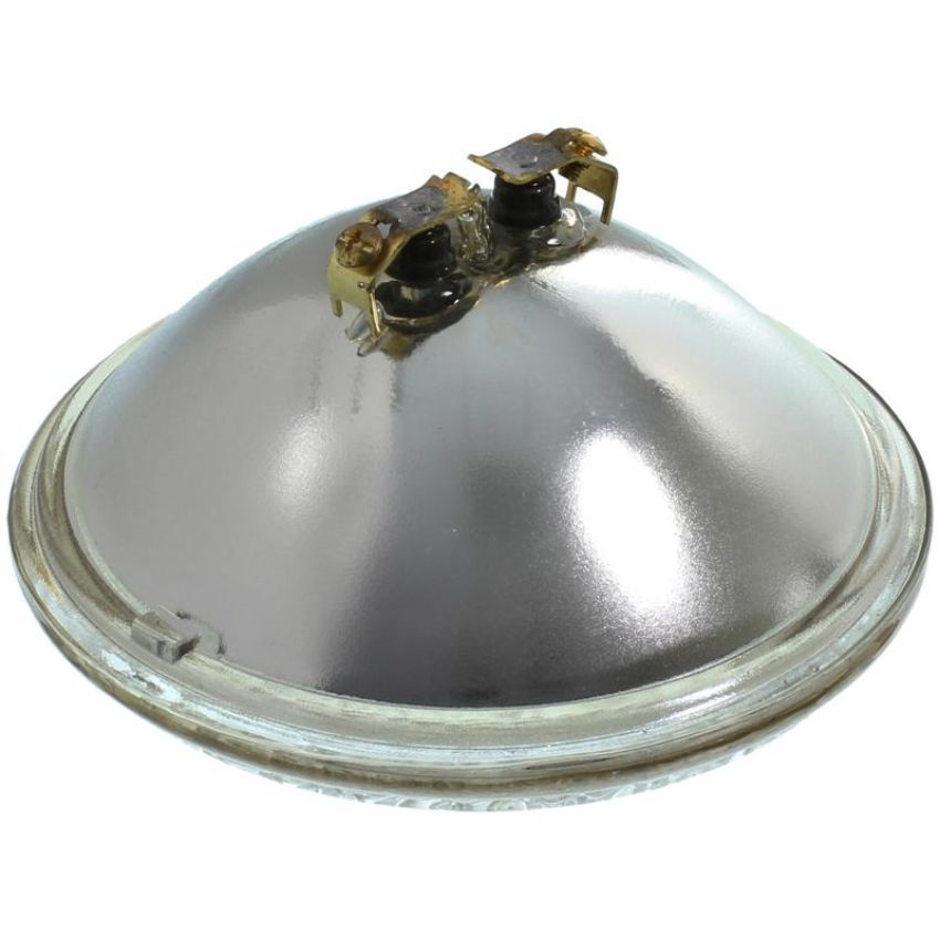 WAGNER LIGHTING 4419 Standard Multi-Purpose Light Bulb Box of 1