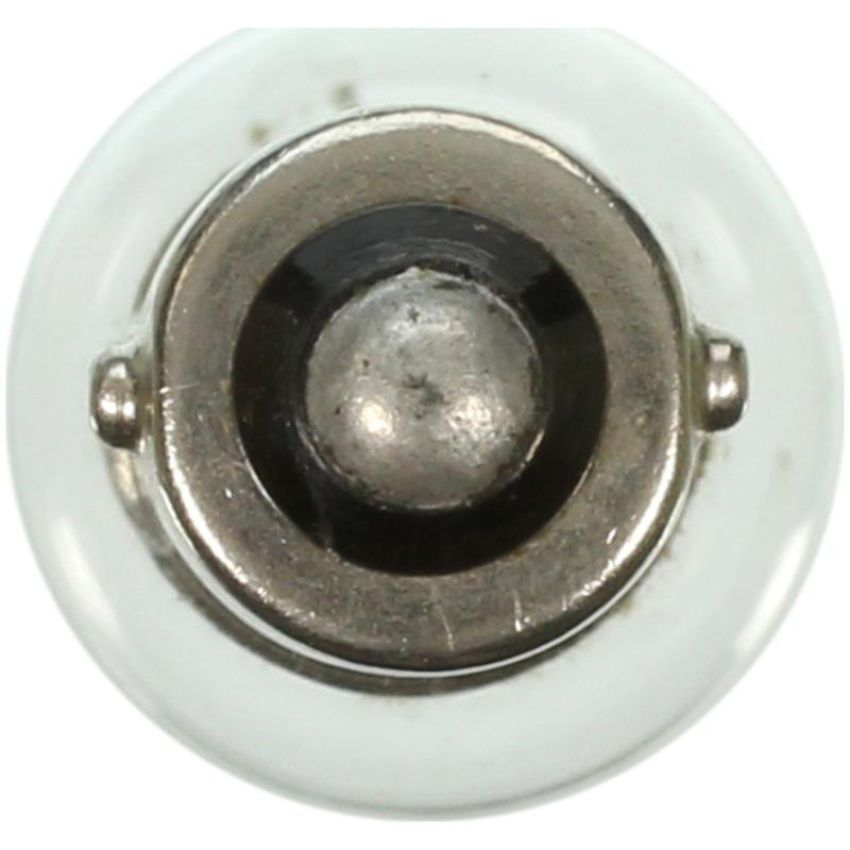 WAGNER LIGHTING 57 Standard Multi-Purpose Light Bulb Box of 10