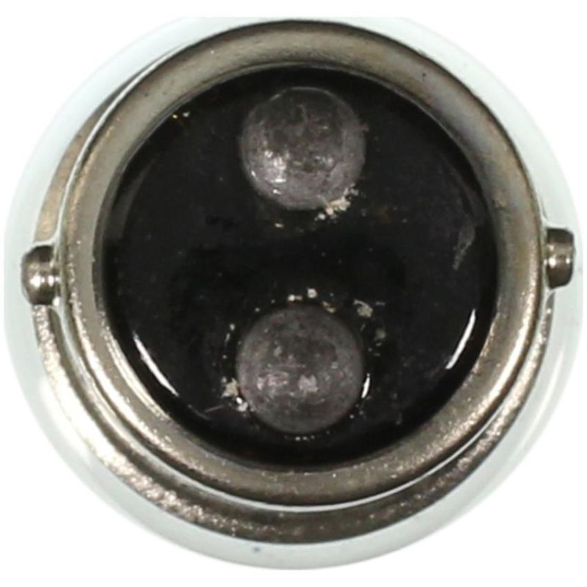 WAGNER LIGHTING 68 Standard Multi-Purpose Light Bulb Box of 10