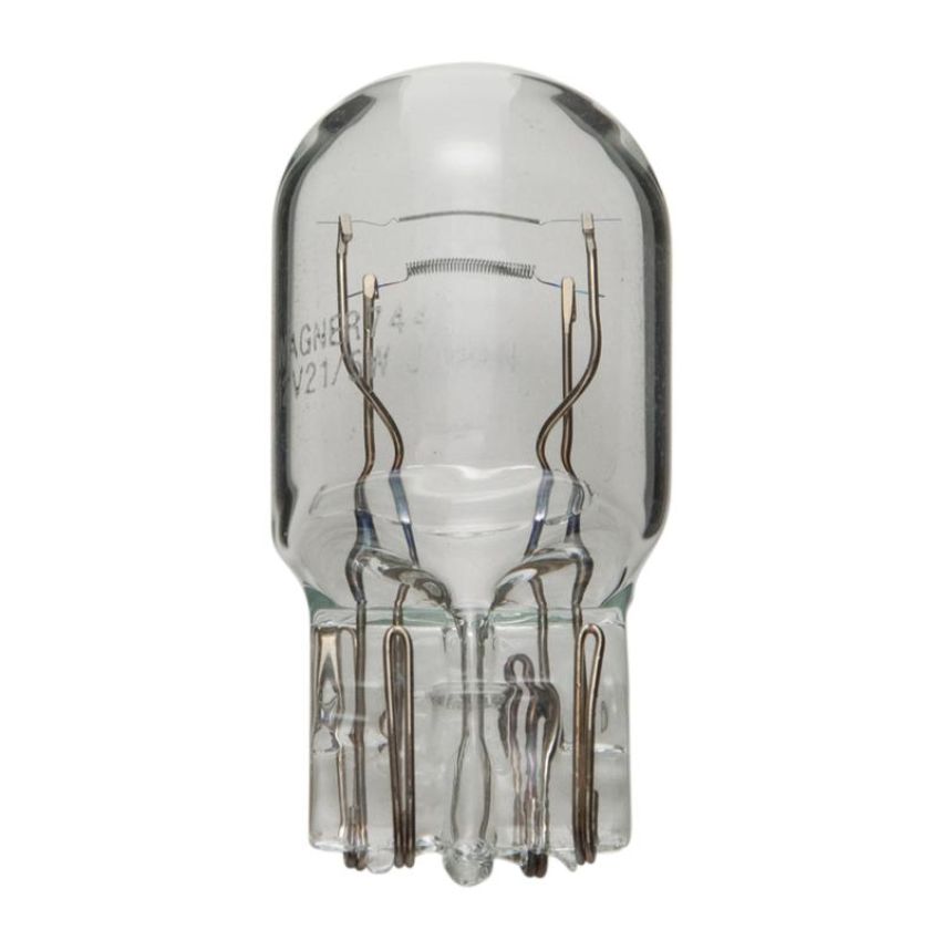 WAGNER LIGHTING 7443 Standard Multi-Purpose Light Bulb Box of 10