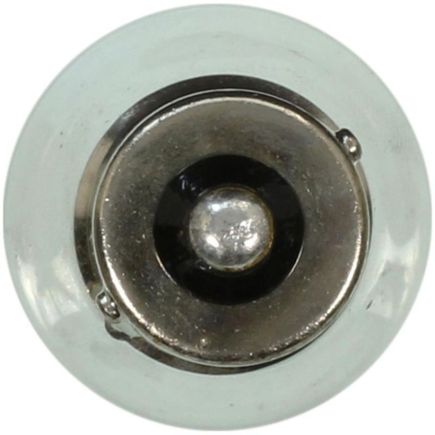 WAGNER LIGHTING BP1156 Standard Multi-Purpose Light Bulb Card of 2