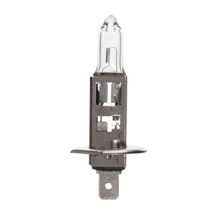 WAGNER LIGHTING BP1255/H1 Standard Multi-Purpose Light Bulb Card of 1