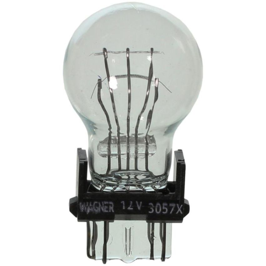 WAGNER LIGHTING BP3057 Standard Multi-Purpose Light Bulb Card of 2