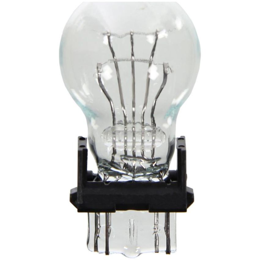 WAGNER LIGHTING BP3057LL Long Life Multi-Purpose Light Bulb Card of 2