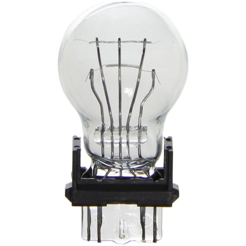 WAGNER LIGHTING BP3157 Standard Multi-Purpose Light Bulb Card of 2
