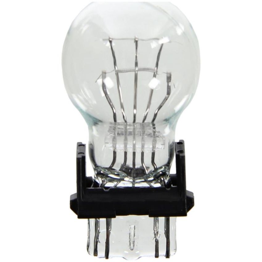 WAGNER LIGHTING BP4157LL Long Life Multi-Purpose Light Bulb Card of 2