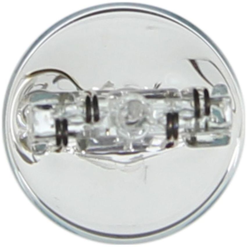 WAGNER LIGHTING BP7443 Standard Multi-Purpose Light Bulb Card of 1