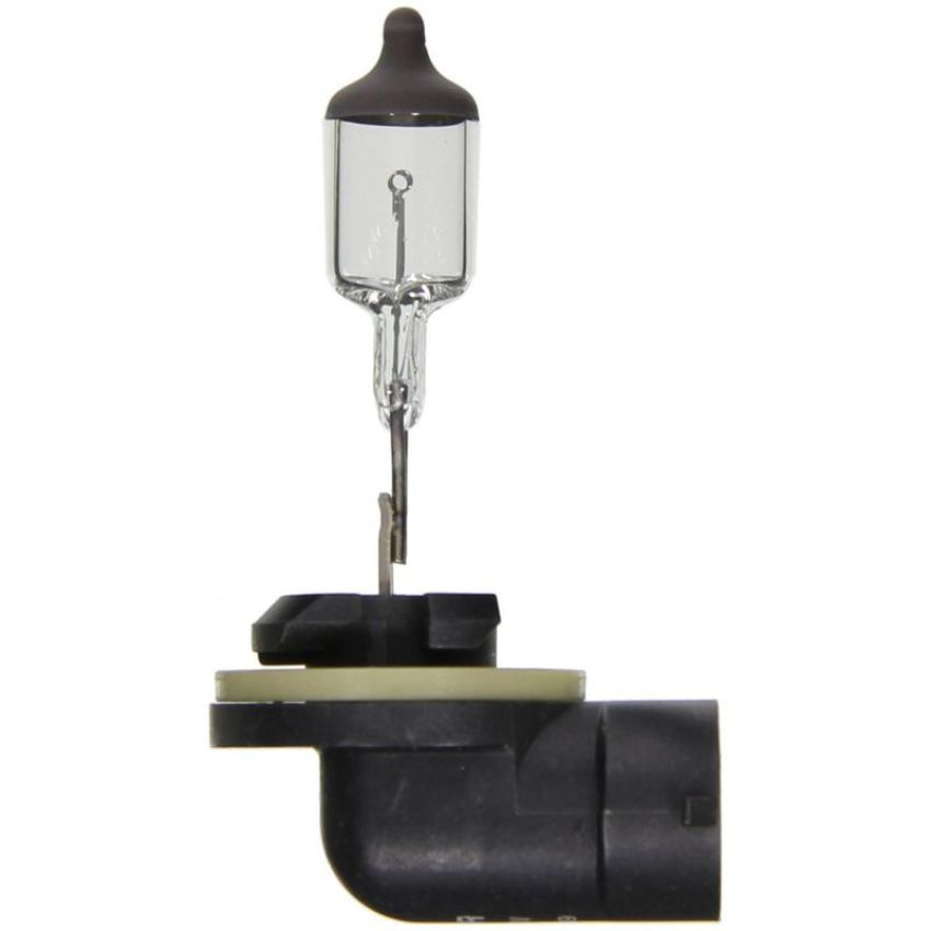 WAGNER LIGHTING BP896 Standard Multi-Purpose Light Bulb Card of 1