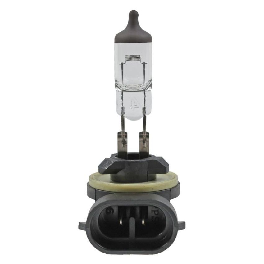 WAGNER LIGHTING BP898 Standard Multi-Purpose Light Bulb Card of 1
