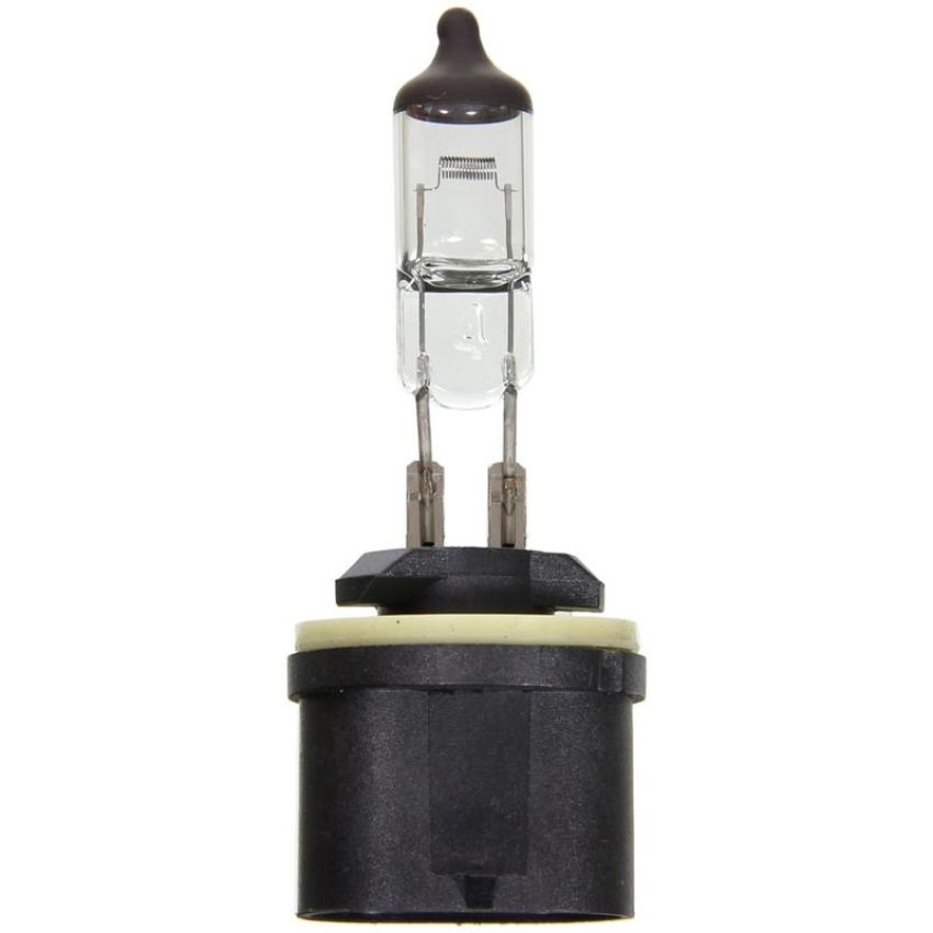 WAGNER LIGHTING BP899 Standard Multi-Purpose Light Bulb Card of 1