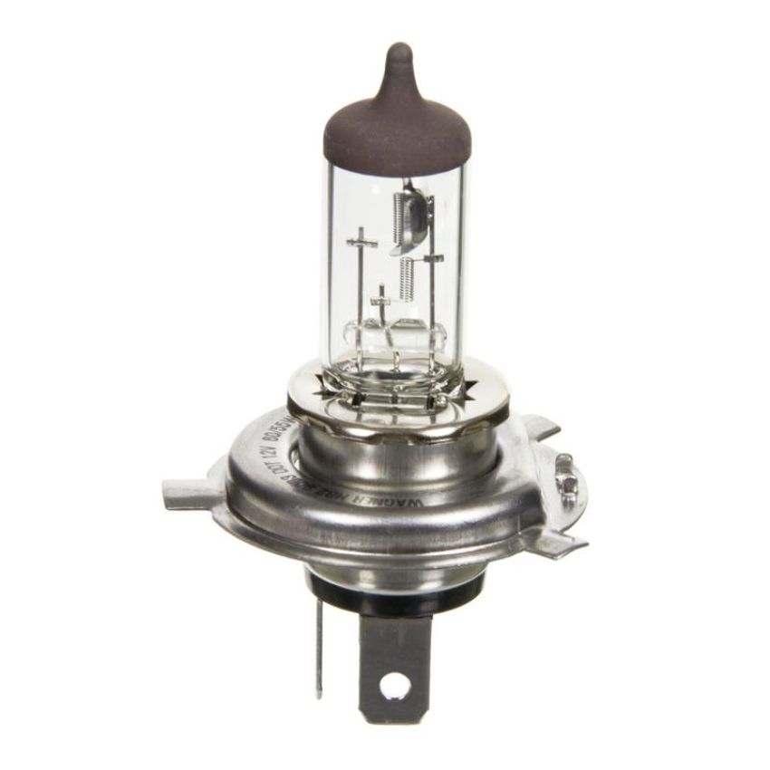 WAGNER LIGHTING BP9003 Standard Multi-Purpose Light Bulb Card of 1