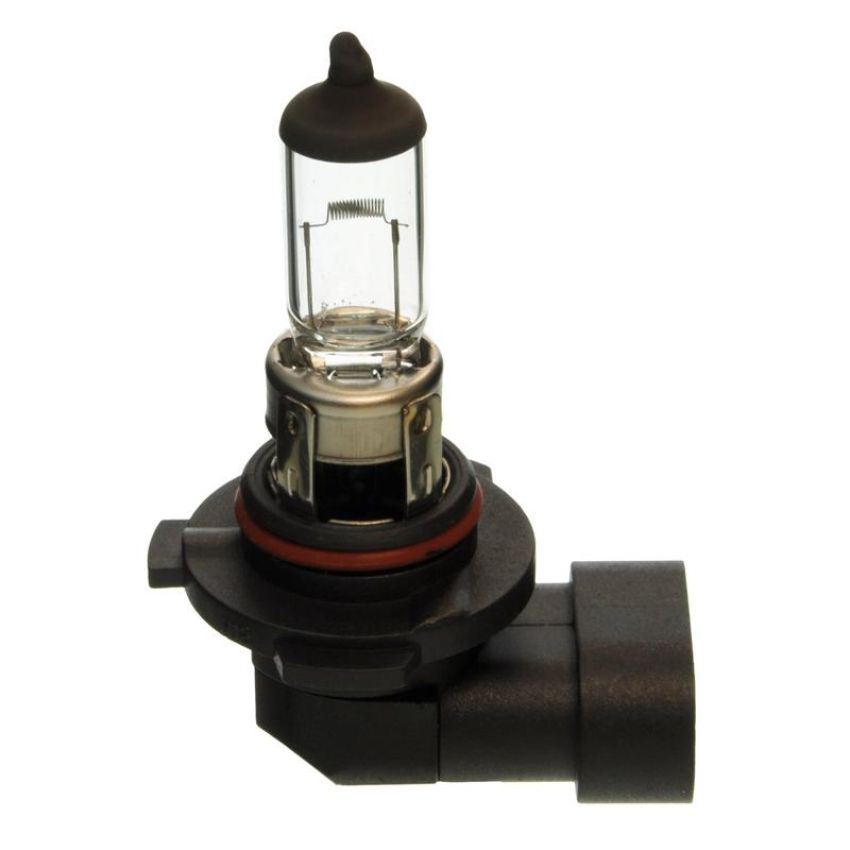 WAGNER LIGHTING BP9055 Standard Multi-Purpose Light Bulb Card of 1