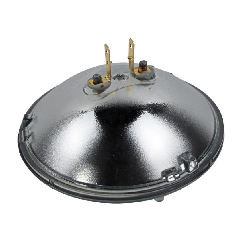 WAGNER LIGHTING H5001 Standard Multi-Purpose Light Bulb Box of 1