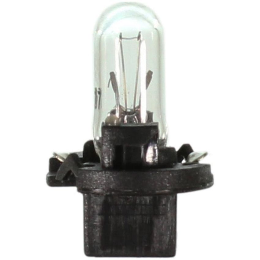 WAGNER LIGHTING PC37 Standard Multi-Purpose Light Bulb Box of 10