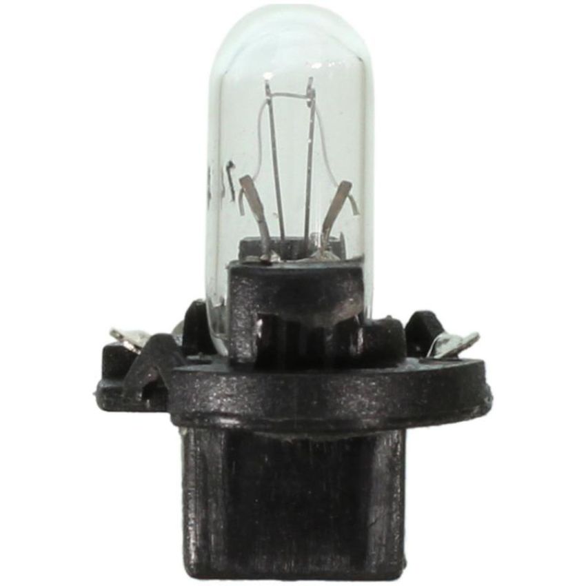 WAGNER LIGHTING PC74 Standard Multi-Purpose Light Bulb Box of 10