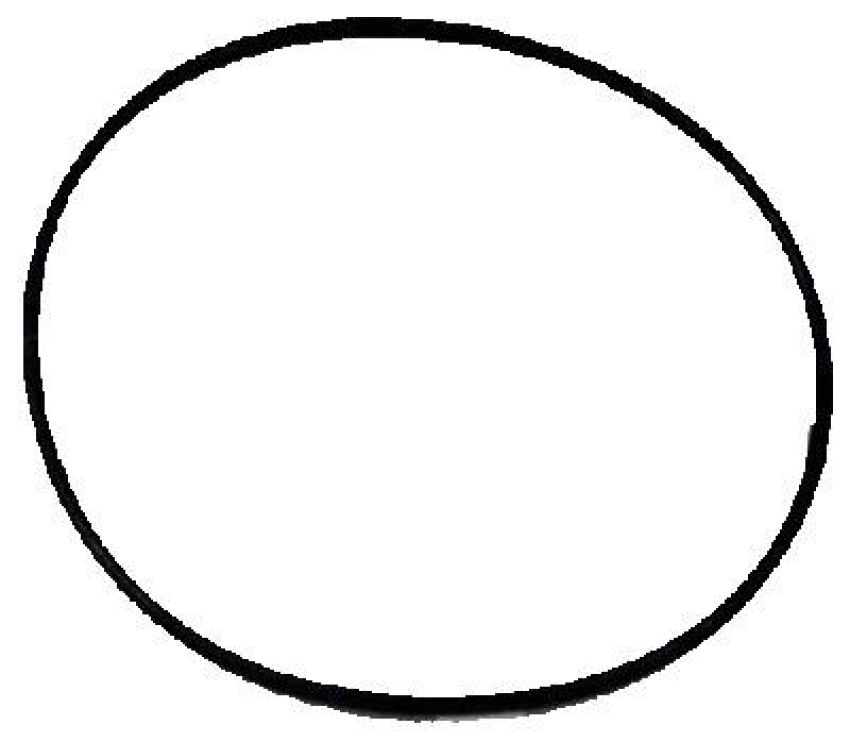 WIX FILTER 15163 WIX Gasket