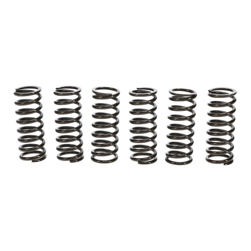 Wiseco CSK002 Clutch Spring Kit CR125R/KTM125SX/250SXF