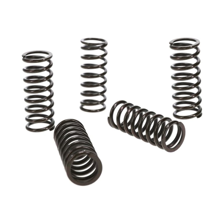 Wiseco CSK015 Clutch Spring Kit KX125/KX250F/RM-Z250