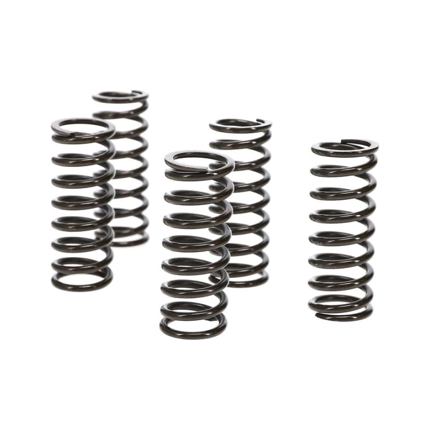 Wiseco CSK042 Clutch Spring Kit Suzuki DR-Z250 '01-07