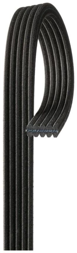 GATES DK050565 Micro-V Dual-Sided Serpentine Drive Belt