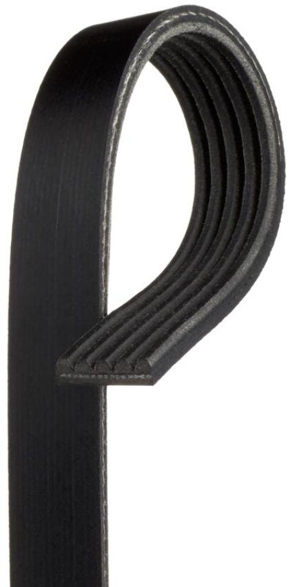 GATES K050264SF Stretch Fit Micro-V Serpentine Drive Belt