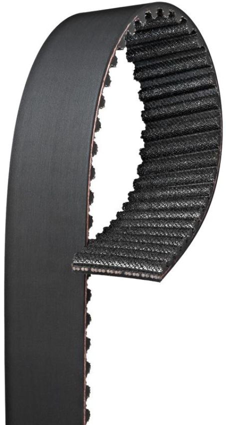 GATES T313 Premium Automotive Timing Belt