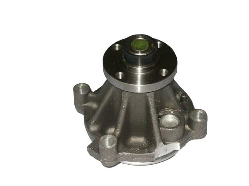 GATES 41119 Light Water Pumps