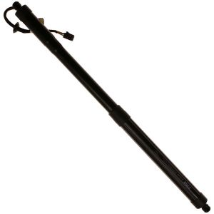 TRW TSG367111 TRW X-TEND POWERED LIFT SUPPORT