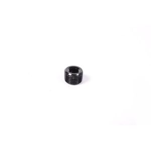 Radium Engineering 14-0172 1/8NPT PLUG