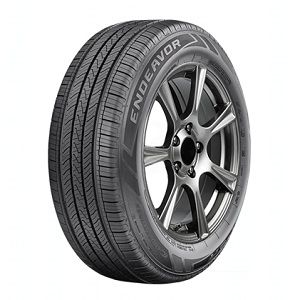 COOPER Endeavor 225/60R16 All-Season