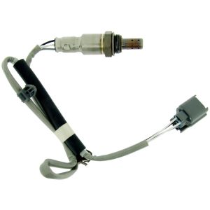 NTK 24432 Oxygen Sensors