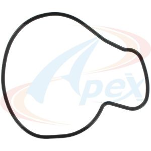 APEX GASKET AWP3123 Water Pump Gasket