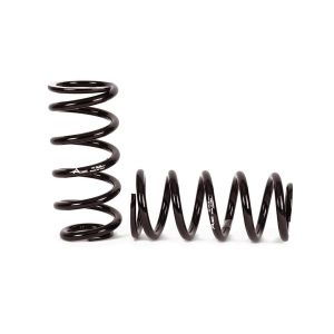 Arnott Industries C-2663 Coil Spring Conversion Kit