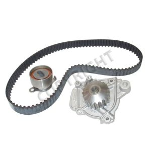 Airtex Water Pumps AWK1255 Engine Timing Belt Kit with Water Pump