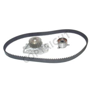 Airtex Water Pumps AWK1256 Engine Timing Belt Kit with Water Pump