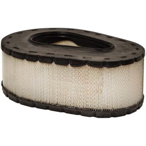 BALDWIN FILTERS PA30066 Oval Air Element