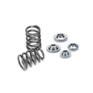 Supertech SPRK-A2416-V10 Audi V10 (40V) Single Valve Spring Kit