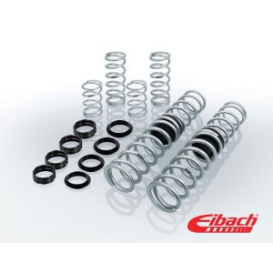 Eibach Springs E85-209-012-05-22 PRO-UTV - Stage 2 Performance Spring System (Set of 8 Springs)