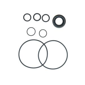 Edelmann 8813 PUMP SEAL KIT