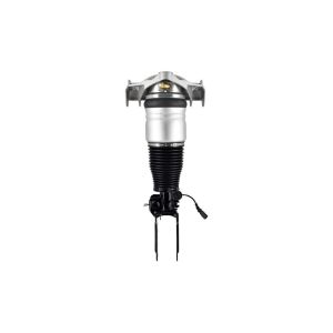 FCS Struts 99011 Electronic Air Suspension Strut Assembly