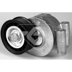 Hutchinson T0316 Poly V® tensioner