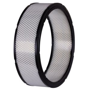 PARTS PLUS AF697 Engine Air Filter