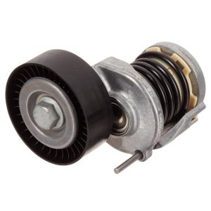 INA FT40164 INA BDC FEAD tensioner