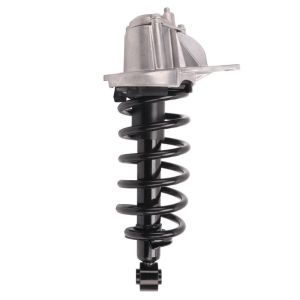 PRT PERFORMANCE RIDE 920265 PRT Complete Strut Assembly