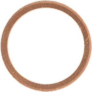Victor Reinz 41-70198-00 Engine Block Drain Plug Seal